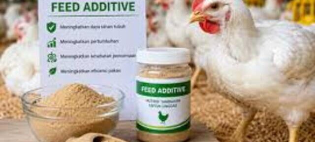 Pakan Ayam Sehat untuk Meningkatkan Produktivitas Ternak
